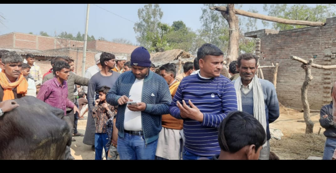 उसावां -एक गांव में पशु आहार खाने से दो दर्जन से ज्यादा पशु बीमार